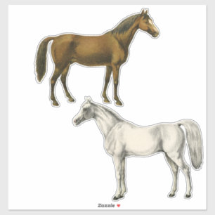 Pegatina Dos caballos del vintage