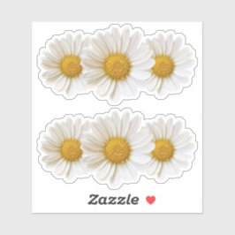 Pegatina Dos grupos de tres margaritas blancas