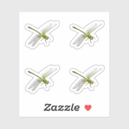 Pegatina Dragonflies
