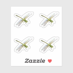 Pegatina Dragonflies