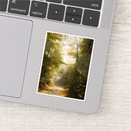 Pegatina Dreamy sunlit park, nature aesthetic art photo