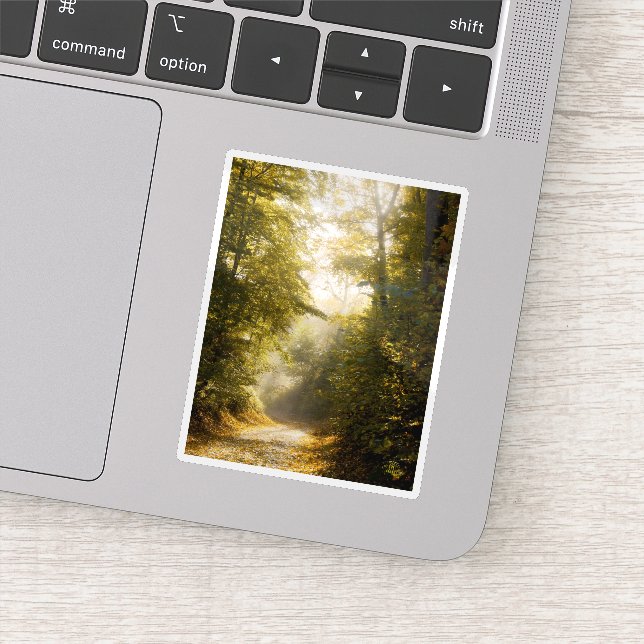 Pegatina Dreamy sunlit park, nature aesthetic art photo (Detalle)