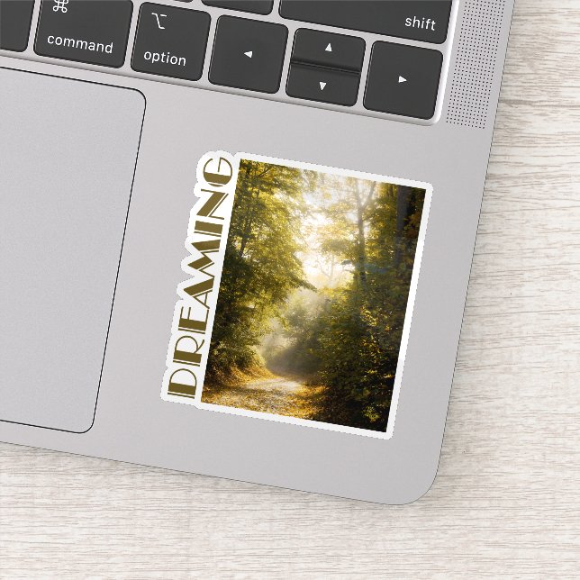 Pegatina Dreamy sunlit park, nature aesthtetic photo (Detalle)