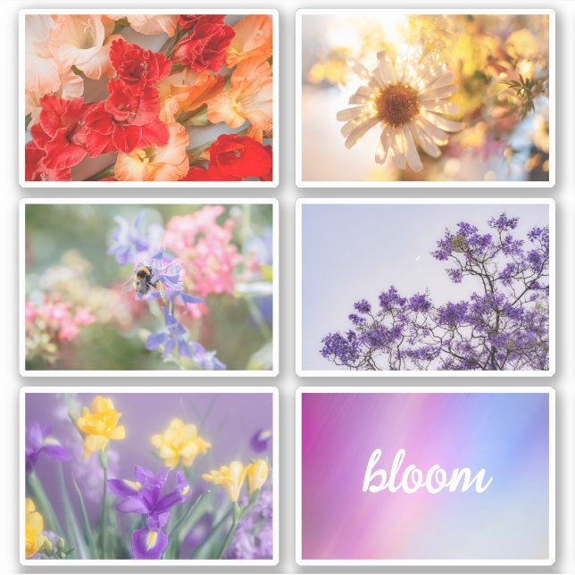 Pegatina Dreamy vibrant spring floral sticker set sheet (Anverso)