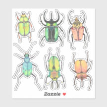 El día de San Valentín Love Bugs Watercolor Beetle
