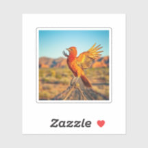 El Fénix Mítico, Arizona