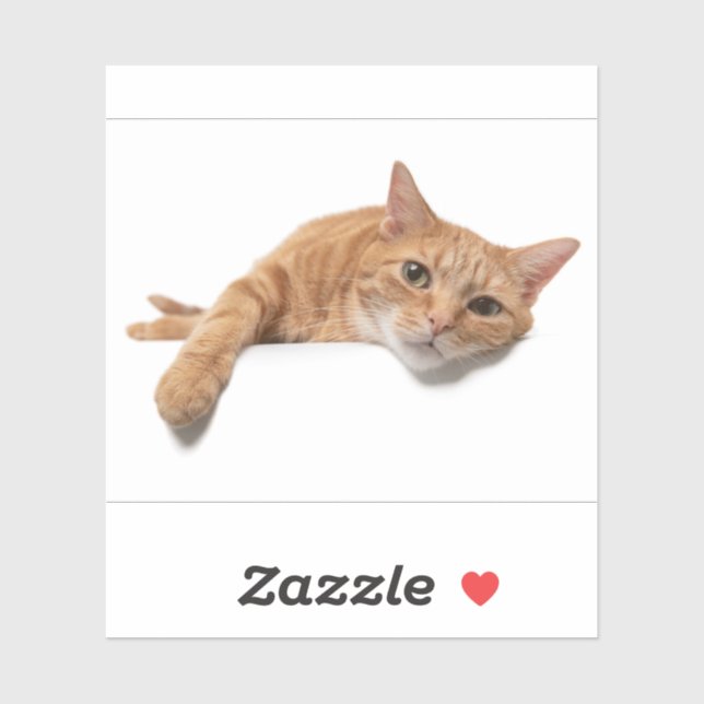 Pegatina El gato del naranja está tumbado (Hoja)