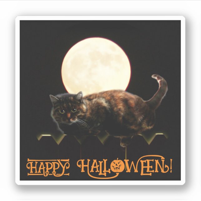 Pegatina El gato y la luna llena (Anverso)