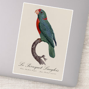 Pegatina El loro Langlois de Jacques Barraband