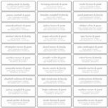 Pegatina Elegante dirección de nombres de invitados de Boda<br><div class="desc">Compuesto por simple tipografía sans serif y moderna serif. Estos elementos son sencillos,  elegantes y modernos. Esto tiene 30 pegatinas. Este es el diseño exclusivo de la revista White Paper Birch Co. para Zazzle. Disponible aquí: http://www.zazzle.com/store/whitepaperbirch</div>
