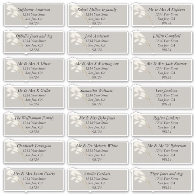 Pegatina Elegante Grasa de Pampas Blancas de Marfil (Anverso)