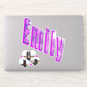 Pegatina Emily Nombre Con Caballos,