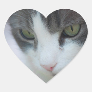 Pegatina En Forma De Corazón 9.º gata