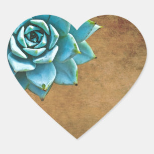 Pegatina En Forma De Corazón Acuarela Suculenta Marrón Rústico
