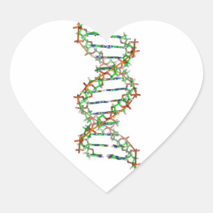 Pegatina En Forma De Corazón ADN - ciencia/ciencia/biología