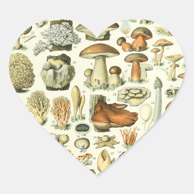 Pegatina En Forma De Corazón Adolphe Millot Champignon Mushroom Print (Anverso)