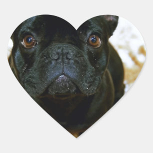 Pegatina En Forma De Corazón ¡Adorable Cachorro de Bulldog francés!