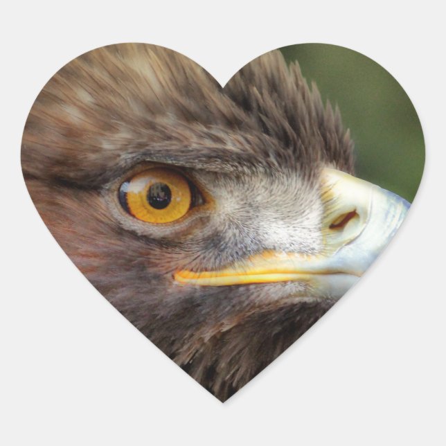 Pegatina En Forma De Corazón águila dorada (Anverso)