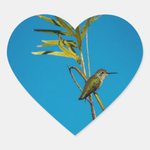 Pegatina En Forma De Corazón Alumnaicorus hembra
