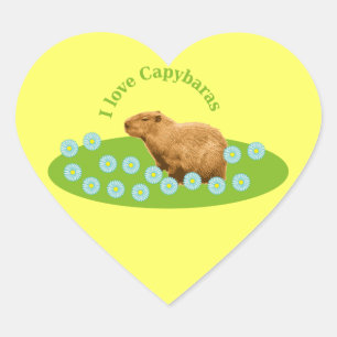 Pegatina En Forma De Corazón Amo a los carpinchos