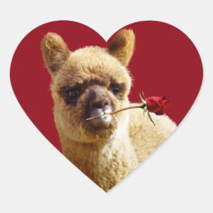 Pegatina En Forma De Corazón Amo a los Pegatinas del corazón de Alpacas para am