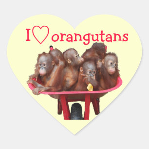 Pegatina En Forma De Corazón Amo orangutanes