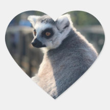 Amor salvaje: Por Australia