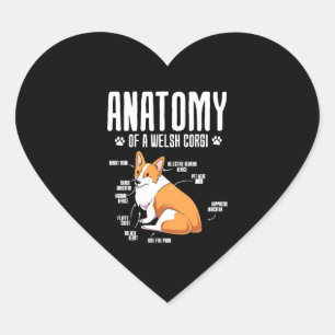 Pegatina En Forma De Corazón Anatomía De Un Corgi Galés