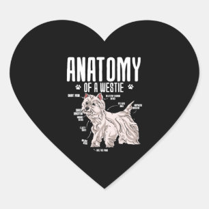 Pegatina En Forma De Corazón Anatomía De Un Terrier Blanco De Las Tierras Altas