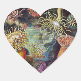Pegatina En Forma De Corazón Anémona de mar naturaleza científica océano