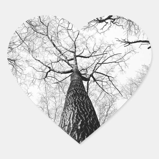 Pegatina En Forma De Corazón Árbol en blanco y negro (Anverso)