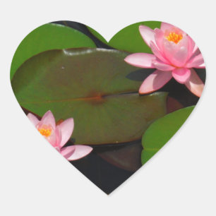 Pegatina En Forma De Corazón Aroma de flores de lirio de loto rosa,