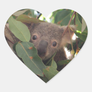 Pegatina En Forma De Corazón Baby Koala