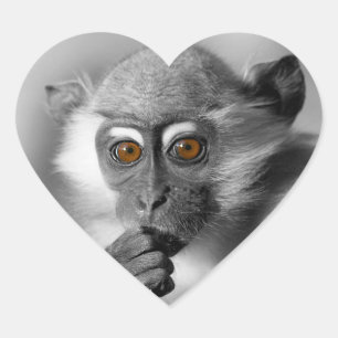 Pegatina En Forma De Corazón Baby Mangabey Monkey