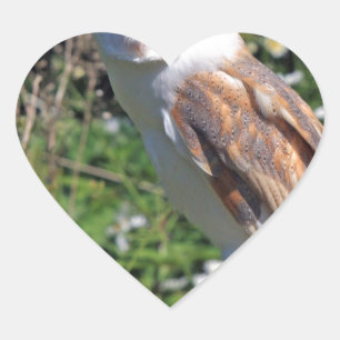 Pegatina En Forma De Corazón Barn Owl