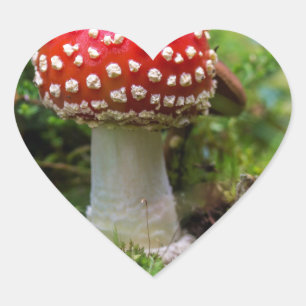 Pegatina En Forma De Corazón Belleza de otoño