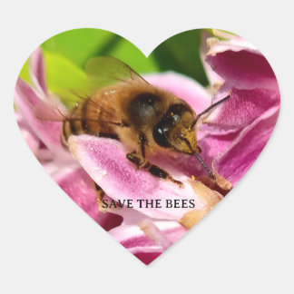 Pegatina En Forma De Corazón Biene zwischen rosa Blüten Naturfoto Sticker