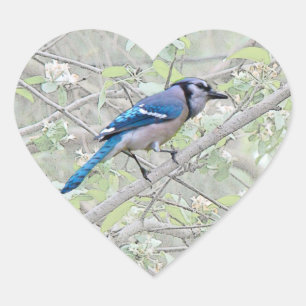 Pegatina En Forma De Corazón Black Jay Songbird