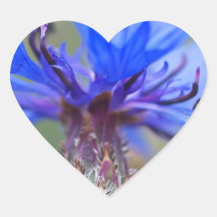 Pegatina En Forma De Corazón Blue Blossoms Ladybug Paz Amor Destino Arte  Vid