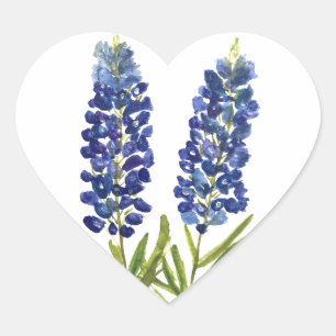 Pegatina En Forma De Corazón Bluebonnets Texas State Flowe Lupine Watercolor