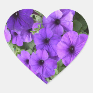 Pegatina En Forma De Corazón Bonita Petunias