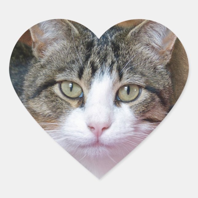 Pegatina En Forma De Corazón Bonito (Anverso)