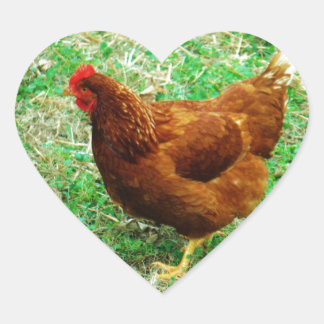 Pegatina En Forma De Corazón Brown Hen