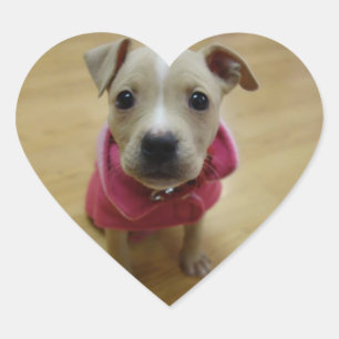 Pegatina En Forma De Corazón Buzón