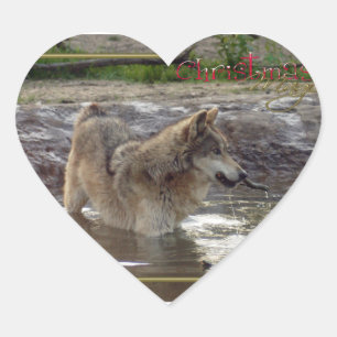 Pegatina En Forma De Corazón c-2011-grey-wolf-005