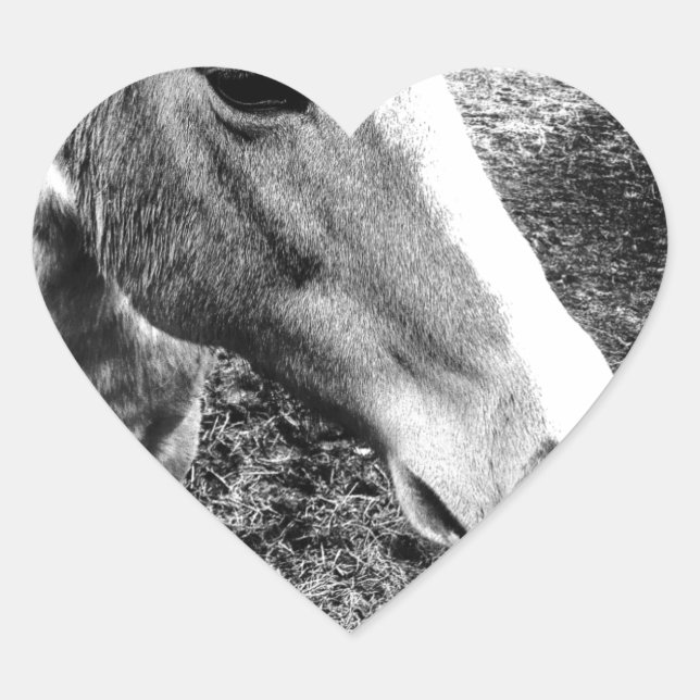 Pegatina En Forma De Corazón Caballo (Anverso)