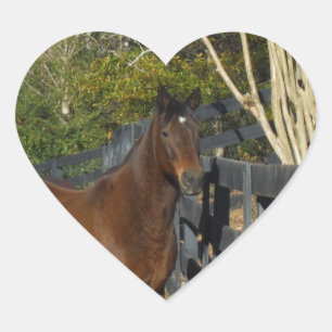 Pegatina En Forma De Corazón Caballo marrón contra una valla