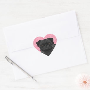 Pegatina En Forma De Corazón Cabeza de perro pug negro en primer plano sobre co
