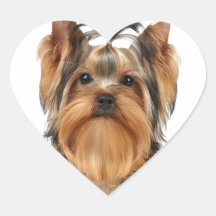 Cachorro de Yorkshire Terrier