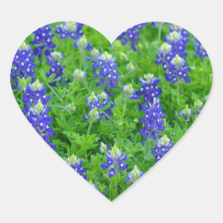 Pegatina En Forma De Corazón Campo Bluebonnet